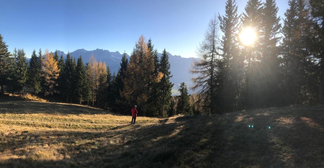 Bel'vue